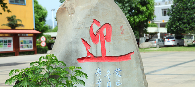 公司环境